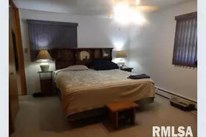 736 N Mill Street, Carrier Mills, IL 62917 - Photo 21