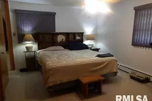 736 N Mill St, Carrier Mills, IL 62917 - Photo 21