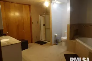 736 N Mill St, Carrier Mills, IL 62917 - Photo 25