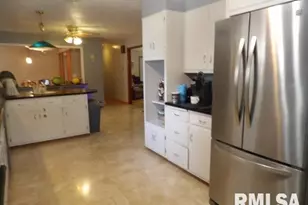 736 N Mill St, Carrier Mills, IL 62917 - Photo 9