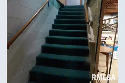 736 N Mill Street, Carrier Mills, IL 62917 - Photo 27