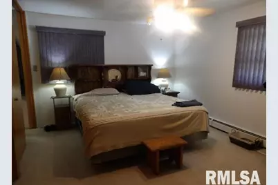 736 N Mill Street, Carrier Mills, IL 62917 - Photo 21