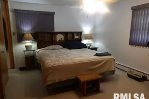 736 N Mill St, Carrier Mills, IL 62917 - Photo 21