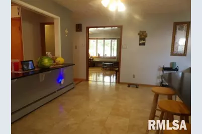 736 N Mill Street, Carrier Mills, IL 62917 - Photo 11