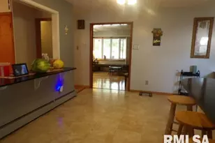 736 N Mill St, Carrier Mills, IL 62917 - Photo 11