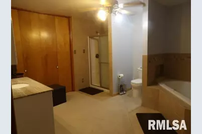 736 N Mill Street, Carrier Mills, IL 62917 - Photo 25