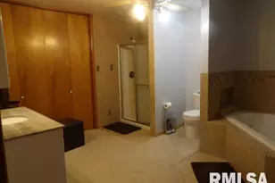 736 N Mill St, Carrier Mills, IL 62917 - Photo 25