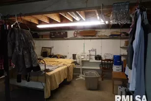 736 N Mill St, Carrier Mills, IL 62917 - Photo 31