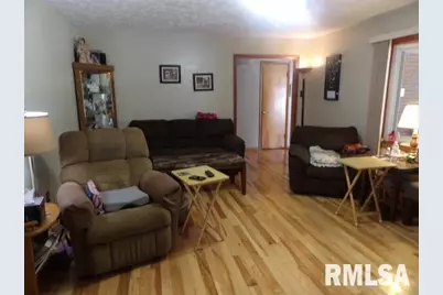 736 N Mill Street, Carrier Mills, IL 62917 - Photo 7