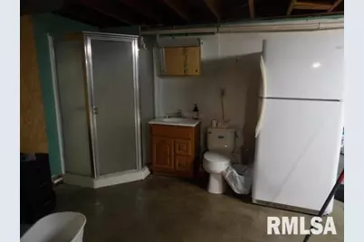 736 N Mill Street, Carrier Mills, IL 62917 - Photo 29