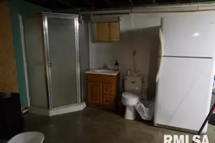 736 N Mill St, Carrier Mills, IL 62917 - Photo 29