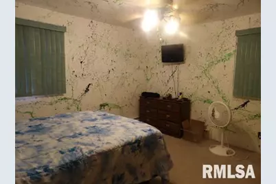 736 N Mill Street, Carrier Mills, IL 62917 - Photo 19