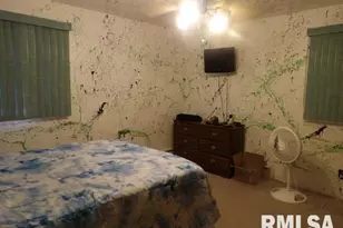 736 N Mill St, Carrier Mills, IL 62917 - Photo 19