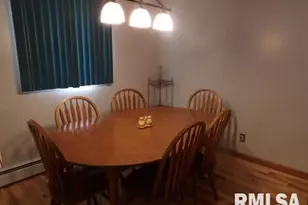 736 N Mill St, Carrier Mills, IL 62917 - Photo 15