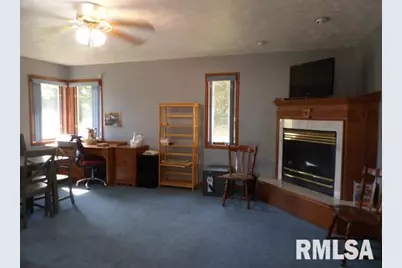 736 N Mill Street, Carrier Mills, IL 62917 - Photo 13