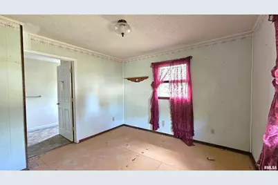 518 Fife Street, Carrier Mills, IL 62917 - Photo 11