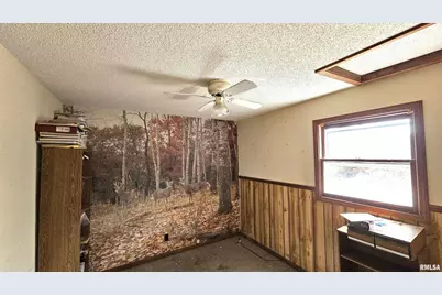 518 Fife Street, Carrier Mills, IL 62917 - Photo 23