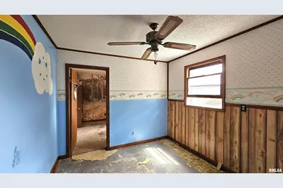 518 Fife Street, Carrier Mills, IL 62917 - Photo 21