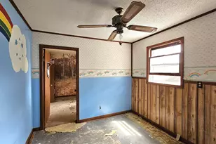 518 Fife St, Carrier Mills, IL 62917 - Photo 21