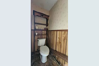 518 Fife Street, Carrier Mills, IL 62917 - Photo 19