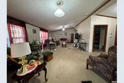 3920 Herrin Road, Carterville, IL 62918 - Photo 7