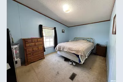 3920 Herrin Road, Carterville, IL 62918 - Photo 21