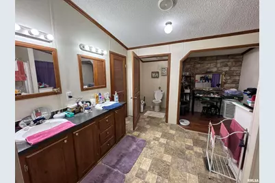 3920 Herrin Road, Carterville, IL 62918 - Photo 17