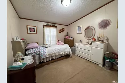 3920 Herrin Road, Carterville, IL 62918 - Photo 19