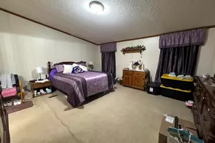 3920 Herrin Rd, Carterville, IL 62918 - Photo 15