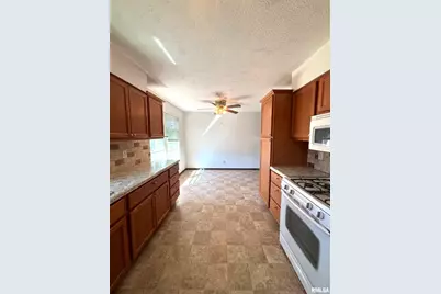 962 Red Stripe Rd Road, Sandoval, IL 62882 - Photo 11