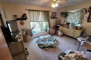 1133 W Boone St, Salem, IL 62881 - Photo 15