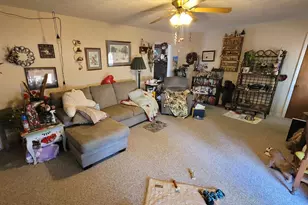 1133 W Boone St, Salem, IL 62881 - Photo 9