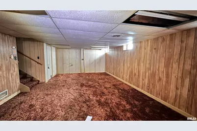 135 Tatia Drive, Orangeville, IL 62896 - Photo 21