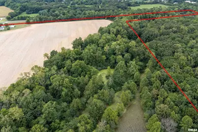 53 Private Road Road, Desoto, IL 62924 - Photo 3