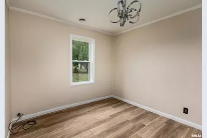 53 Private Road Road, Desoto, IL 62924 - Photo 29