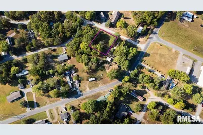 00 Deer Trail, Orangeville, IL 62939 - Photo 1