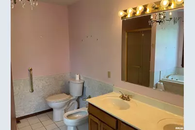 12 Hickory Street, Nashville, IL 62263 - Photo 29