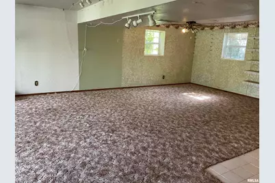 12 Hickory Street, Nashville, IL 62263 - Photo 39