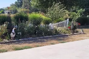 1670 Woods Ln, Centralia, IL 62801 - Photo 19