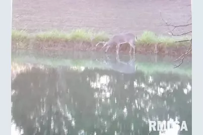 4490 Brushy Creek Church Road, Galatia, IL 62935 - Photo 57