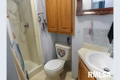 4490 Brushy Creek Church Road, Galatia, IL 62935 - Photo 21