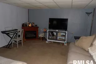 4490 Brushy Creek Church Rd, Galatia, IL 62935 - Photo 49