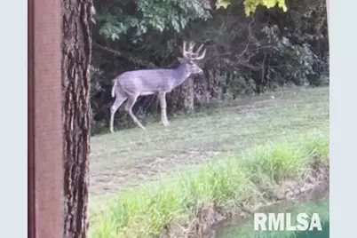 4490 Brushy Creek Church Road, Galatia, IL 62935 - Photo 55