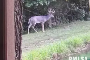 4490 Brushy Creek Church Rd, Galatia, IL 62935 - Photo 55