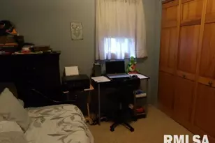 4490 Brushy Creek Church Rd, Galatia, IL 62935 - Photo 23