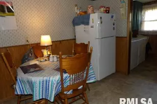 205 W Washington St, CarrierMls, IL 62917 - Photo 11