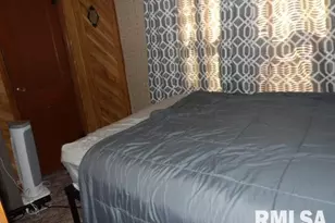 205 W Washington St, CarrierMls, IL 62917 - Photo 13