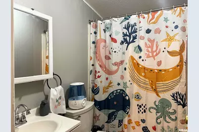 65 Payne Drive, Orangeville, IL 62939 - Photo 31