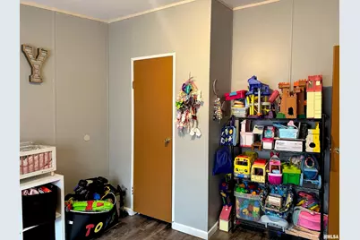 65 Payne Drive, Orangeville, IL 62939 - Photo 29