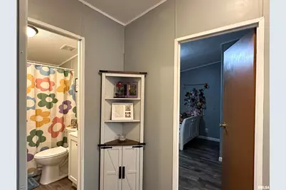 65 Payne Drive, Orangeville, IL 62939 - Photo 23